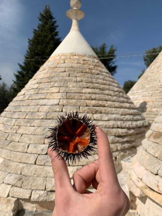 Bed & Breakfast I Trulli Del Tupparello Fasano